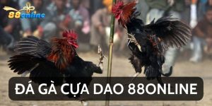Cách Chơi Đá Gà Cựa Dao 88online Kiếm Tiền Cực Khủng