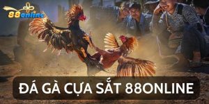 Tham Gia Đá Gà Cựa Sắt 88online Quy Tụ Hàng Ngàn Chiến Kê