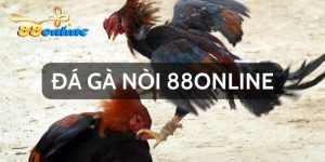 Kinh Nghiệm Chơi Đá Gà Nòi 88online Từ Những Cao Thủ