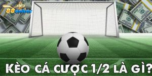 Kèo Chấp 1/2 Là Gì - Kinh Nghiệm Húp Tiền Cùng 88online