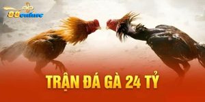 Trận Đá Gà 24 Tỷ 88online Siêu Thế Kỷ