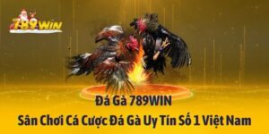 đá gà 789win